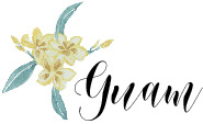 Guam wedding
