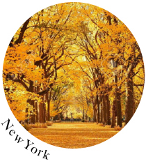 Autumn in New york