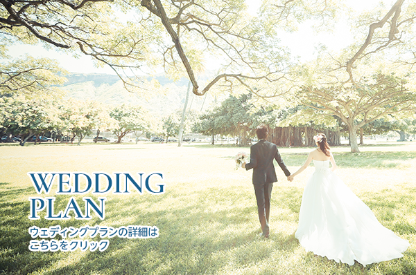 WEDDING PLAN
